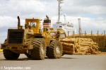 ID 1904 PORT OF TAURANGA, BAY OF PLENTY, NEW ZEALAND - Log loading operations.